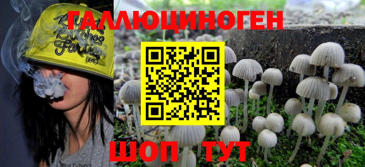 Галлюциногенные грибы MAGIC MUSHROOMS Назрань