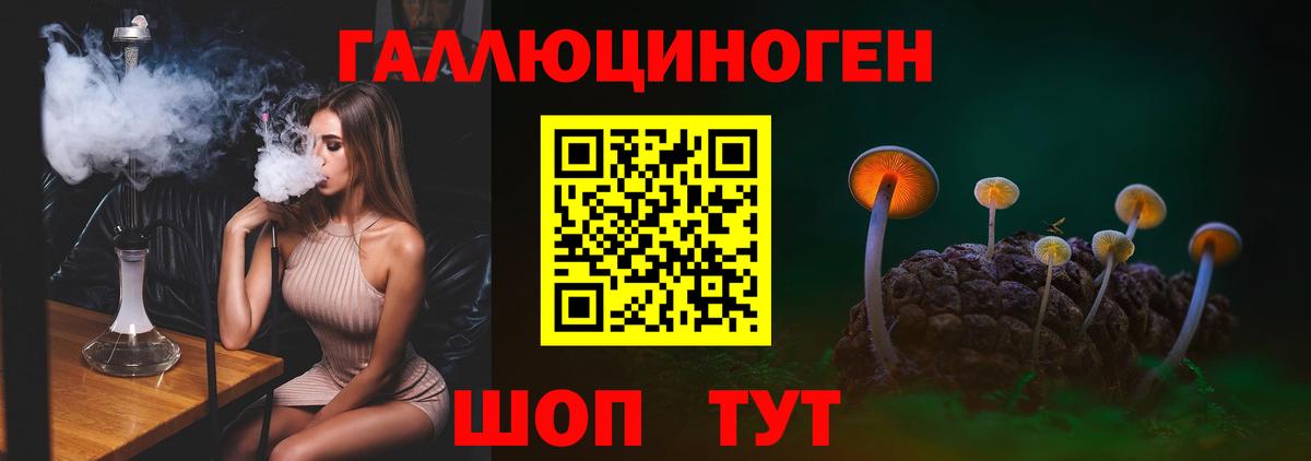 Псилоцибиновые грибы ЛСД  Вход с VPN  Назрань 